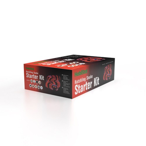 Hatchling Snake Starter Kit Box